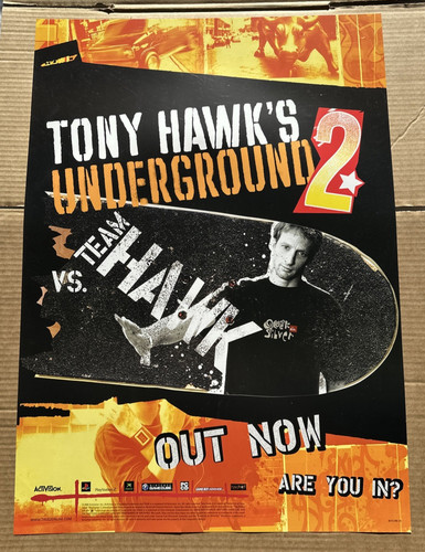Tony hawk underground 2 - tony,